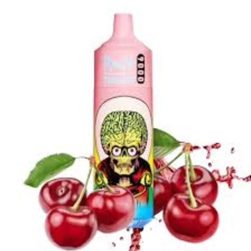 R and M 9000 Puffs Disposable Vape | Only 20€